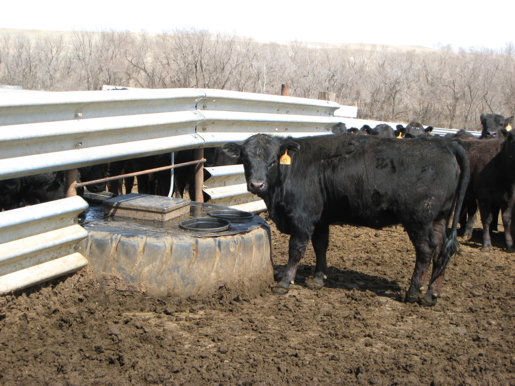 Manure Management