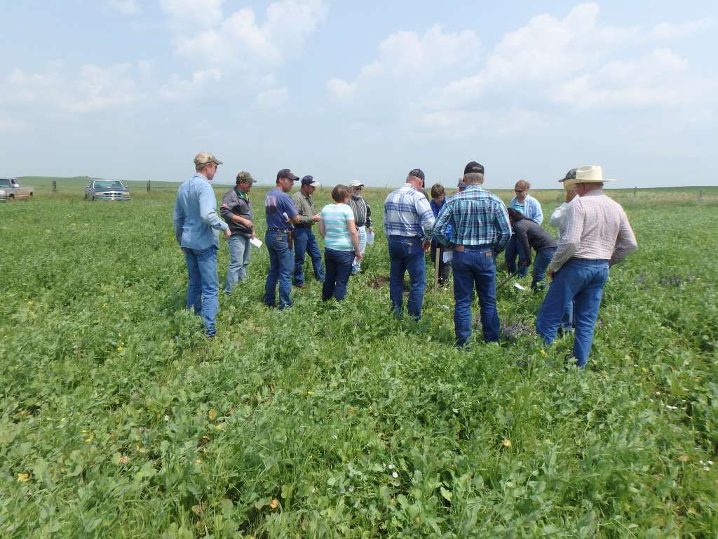 Soil Health Mentoring Tour